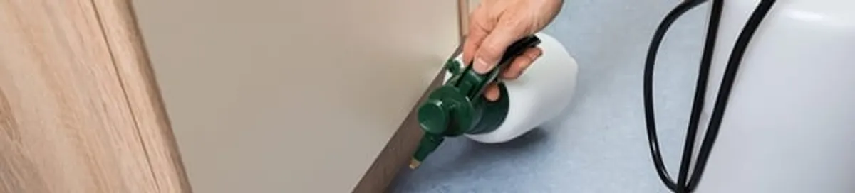 Bed bug exterminator treating baseboards and cracks with targeted spray in Anchorage, AK