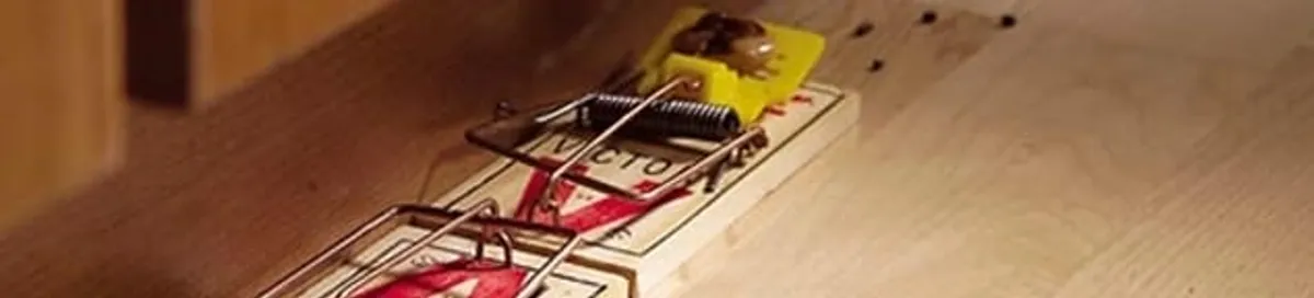 Rodent trap set indoors for rodent control and prevention in Anchorage, AK